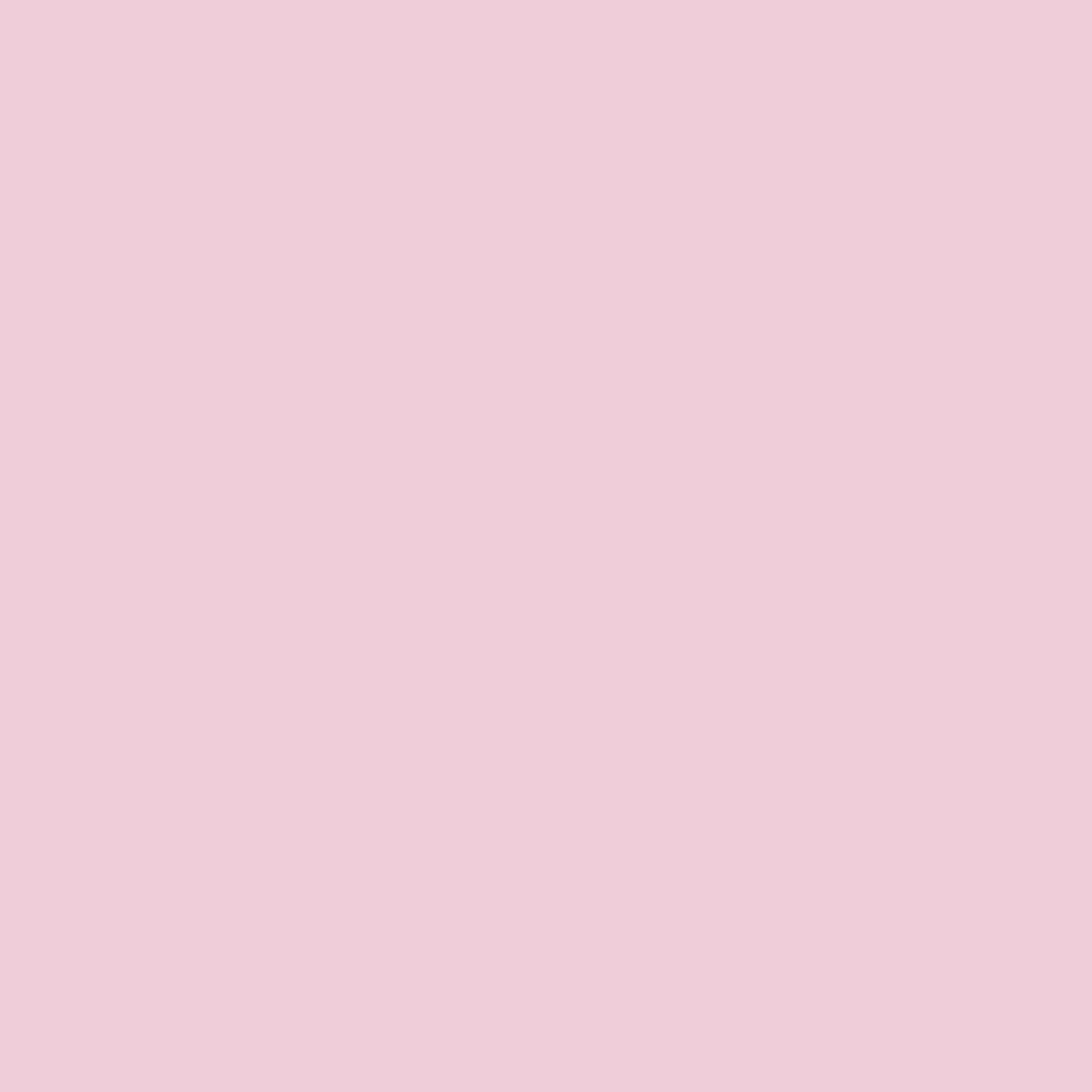 2085-60 Pink Petals - Paint Color | Ferguson Brothers Paint