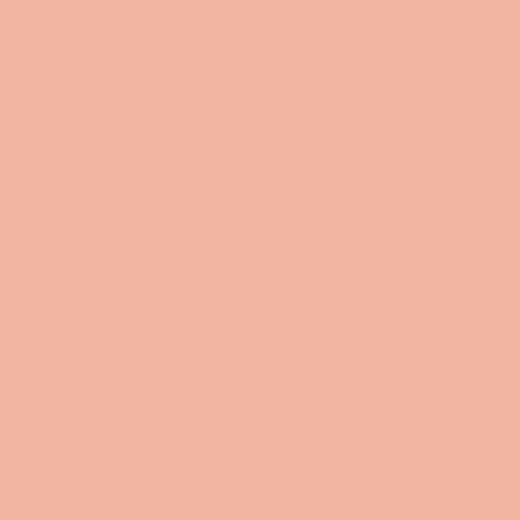025 Vivid Peach - Paint Color | Ferguson Brothers Paint & Supply